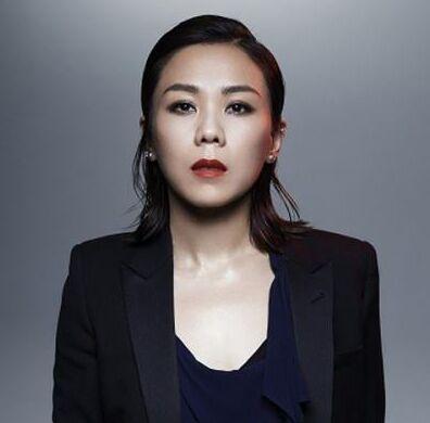 蔡健雅爆料邓刚视频,揭秘娱乐圈背后的真相  第3张